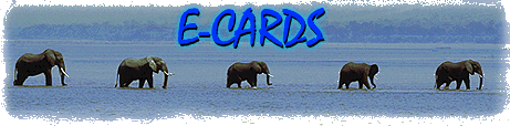 E-Cards